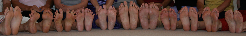 piediuniti